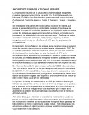 Ahorro de energía y techos verdes
