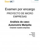 Proyecto de microempresas. Análisis de caso: Automotriz Melipilla