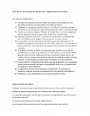 Descripción de procesos de producción y determinación de costos