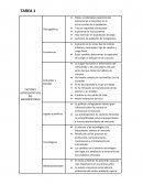 Tarea 1 tecnicas de venta y negociacion Decathlon