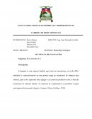 SECUENCIA DE PLANEACIÓN Empresa: ECUAGAMA S.A