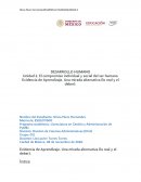 Programa académico: Licenciatura en Gestión y Administración de PyMEs