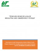 Técnica del secado de la isla de Mexcaltitan, Caso: camarón seco y puyeque