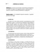 Ambientes en América