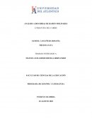 La otra cara de la moneda - Ramón Molinares