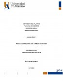 PRODUCCION INDUSTRIAL DEL CARBONATO DE SODIO