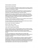 TEORIA GENERAL DE SISTEMAS