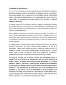 Liderazgo en las organizaciones