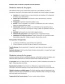 Dinámica: Beal; corresponde el segundo momento epistémico