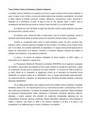 Delitos Contra el Ambiente y Gestión Ambiental