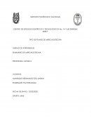 Actividad de aprendizaje 1. “Tipos de planes de mercadotecnia”