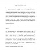 Trabajo Infantil, la ilusión perdida