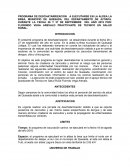 Programa de deschatarrización