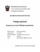 Ensayo de la novela Malditas Matemáticas