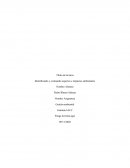 Identificando y evaluando aspectos e impactos ambientales