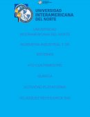 QUIMICA ACTIVIDAD PLATAFORMA