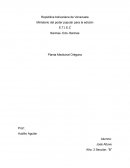 Orégano planta medicinal