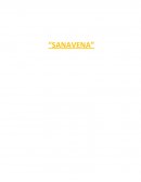 Caso Sanavena