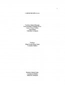 CARNICOSCEIPA S.A.S.