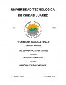 Formacion sociocultural I el Lorax