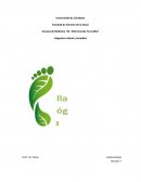 Huella ecologica