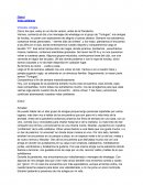 Vida Cotidiana, antes y durante la pandemia