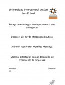 Estrategias para el desarrollo de crecimiento de empresas