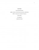 Introduccion a la Gestion de Proyectos. Caso Práctico