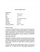 Informe psicologico serie en terapia