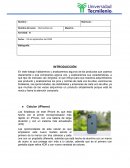 Mercadotecnia, productos que usamos diariamente o que compramos alguna vez