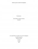 Software para la solución de Integrales