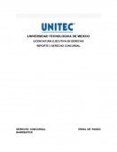 Ensayo de Concurso Mercantil La Quiebra