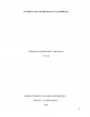 INCIDENCIA DE LOS PROCESOS EN LAS EMPRESAS