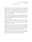 Campos de la pedagogía