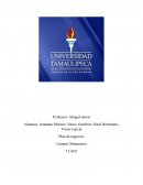 Descripción de la idea de negocio y la empresa