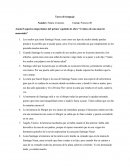 Tarea de lenguaje Cronica de una muerte anunciada