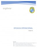Eficacia Operacional