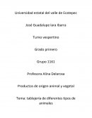 Tablajeria de diferentes tipos de animales