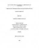 PROGRAMA DE ADMINISRACIÓN DE NEGOCIOS INTERNACIONALES . GESTIÓN AMBIENTAL