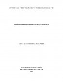 INFORME CASO: VIDEO, TERAPIA BREVE - ENTREVISTA FAMILIAR