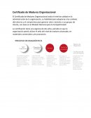 Certificado de Madurez Organizacional