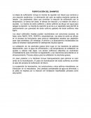 PURIFICACIÓN DEL SHAMPOO