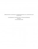 PRESUPUESTOS Y FLUJOS DE CAJA: PRESUPUESTOS DE CAJA Y ESTADO DE FLUJO DE EFECTIVO