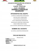 Siembra y cosecha de cacahuate