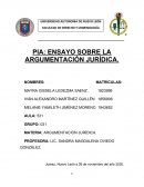 ENSAYO SOBRE LA ARGUMENTACIÓN JURÍDICA