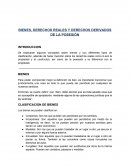 BIENES, DERECHOS REALES Y DERECHOS DERIVADOS DE LA POSESIÓN