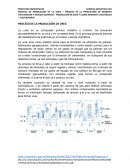 PROCESO DE LA PRODUCCIÓN DE UREA