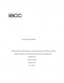 Instrumentos para el control de gestión y desempeño organizacional “balance de gestión"