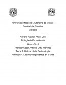 Historia de la Bacteriología Actividad 4. Los microorganismos en tu vida