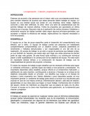 La organización – Creación y organización de equipos